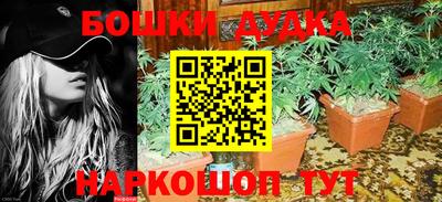ПСИЛОЦИБИНОВЫЕ ГРИБЫ Ставрополь