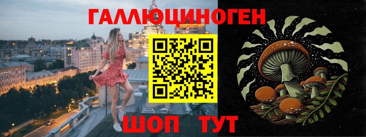 Псилоцибиновые грибы ЛСД  Псилоцибиновые грибы ЛСД  Вход с VPN  Новосибирск 